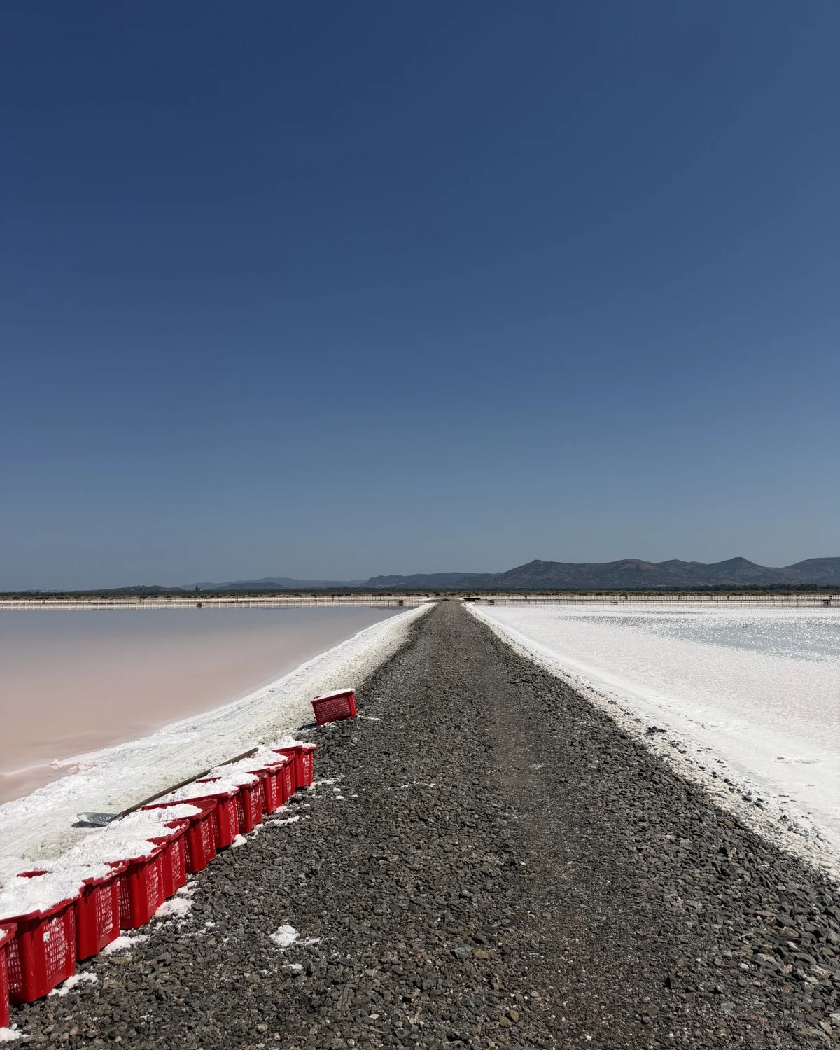 A raised path between pink and pale salt basins during our wider Italy trip
