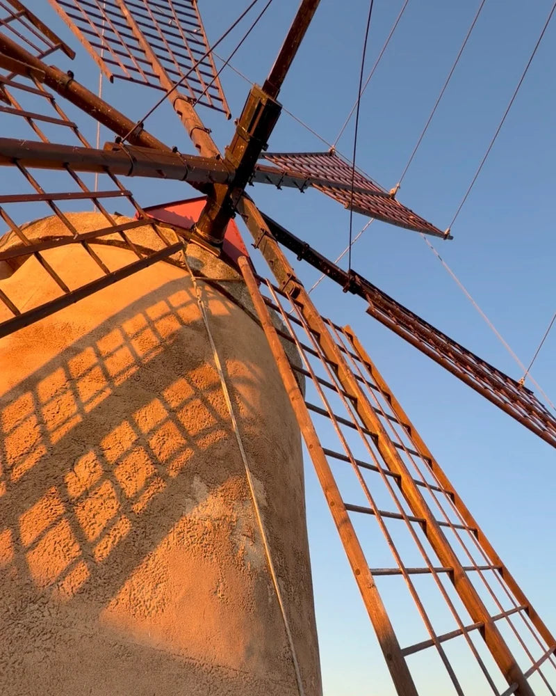 Warm sunlight across a windmill and its wooden sails during a visit in Italy